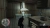 Hitman: Blood Money — Reprisal (Limited Run) [NINTENDO SWITCH]