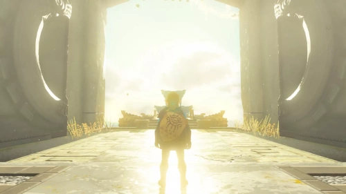 The Legend of Zelda: Tears of the Kingdom [SWITCH]