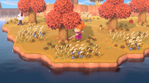 Animal Crossing: New Horizons[NINTENDO SWITCH]