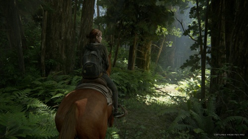 Одни из нас: Часть 2 (The Last of Us: Part 2)[Б.У ИГРЫ PLAYSTATION 4]