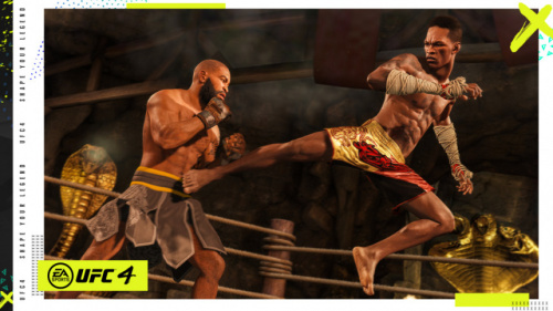 UFC 4 [PLAYSTATION 4]